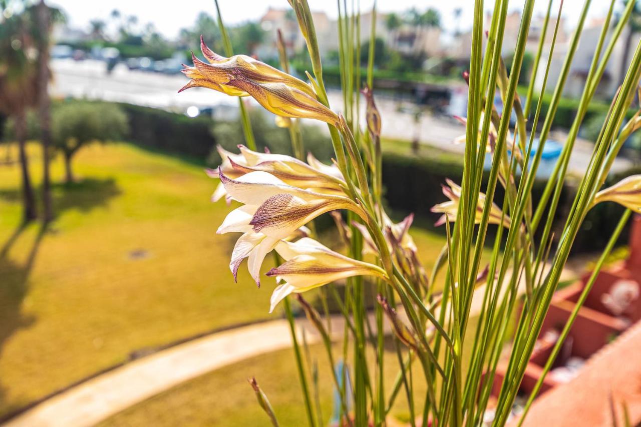 Vera Buda Natura. Atico Apartamento Con Vistas Al Mar. Playas de Vera 外观 照片